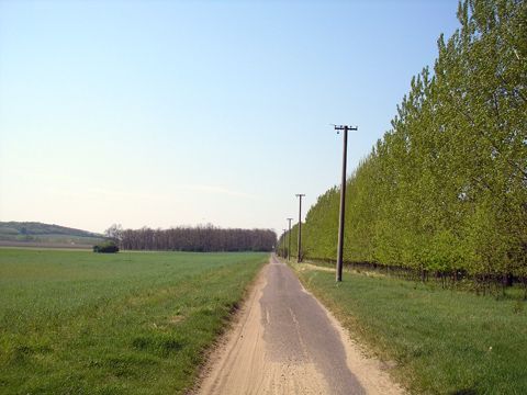 Foto 65